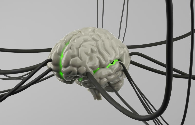 Конкурент на Neuralink? Science се готви да имплантира първия биохибриден имплант в човешки мозък