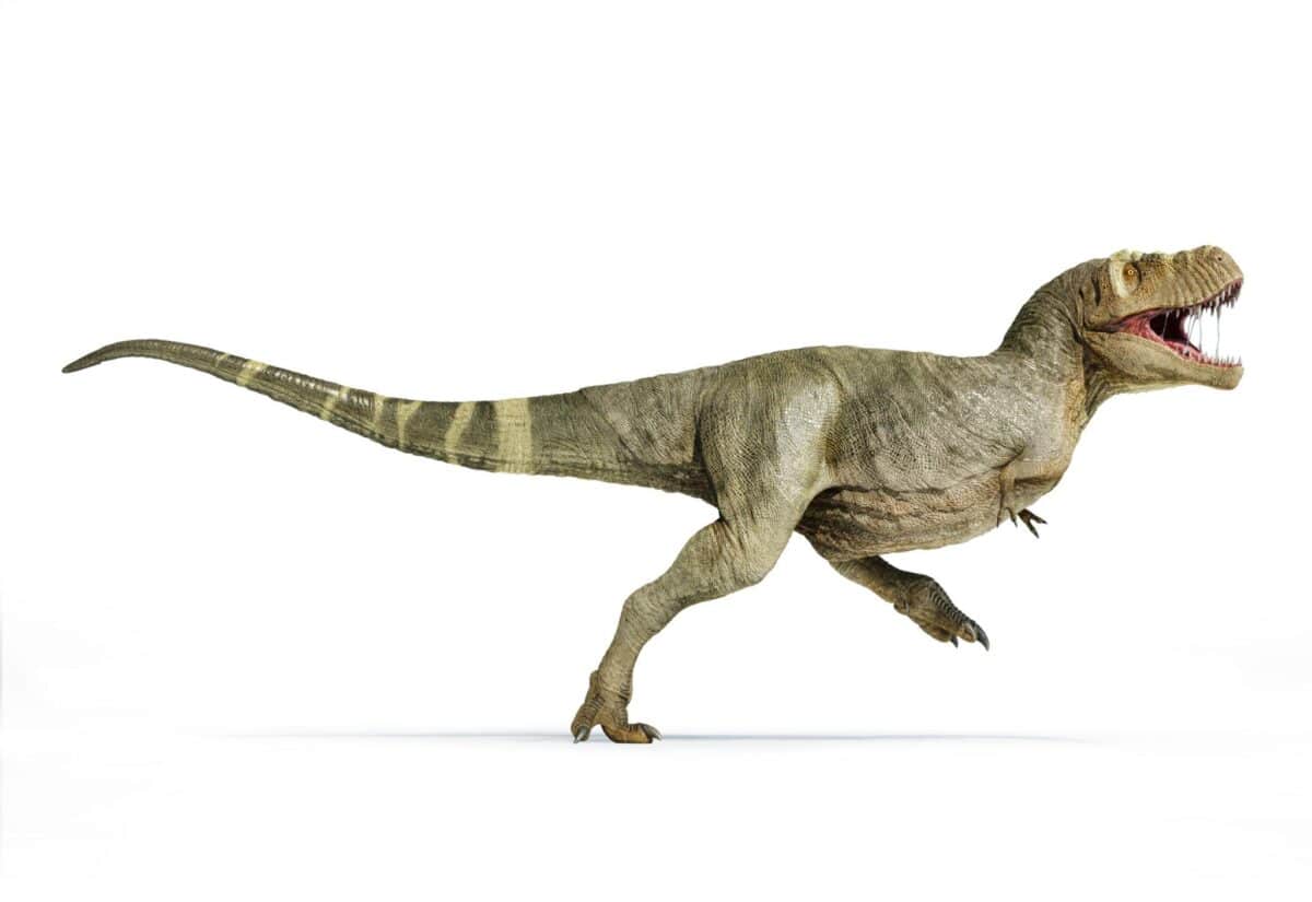 T-Rex никога не е изглеждал като този от Jurassic Park: учените разбиха най-големия мит за динозаврите