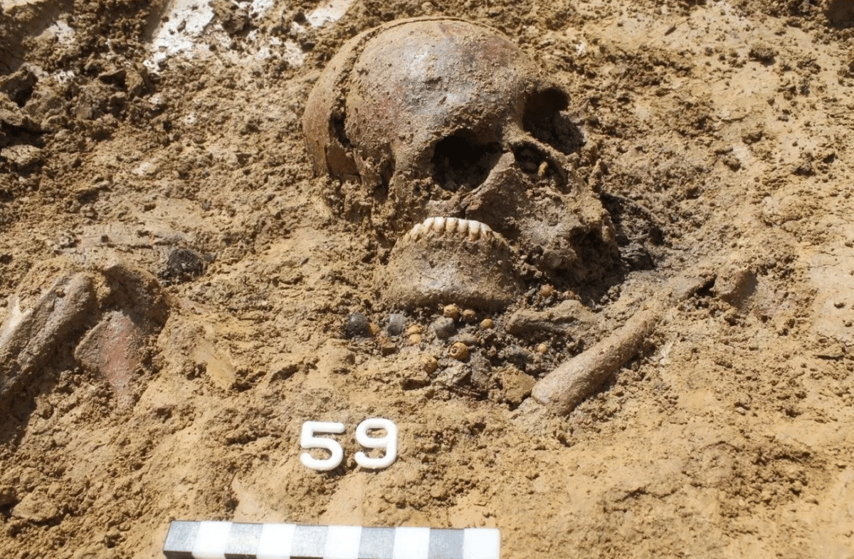Древната ДНК пренаписва историята на падането на Рим: малки миграционни вълни са оформили Централна Европа