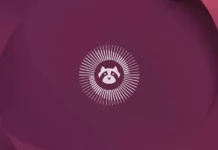 Сървърите на Ubuntu най-накрая заработиха след 5-дневна DDoS-атака