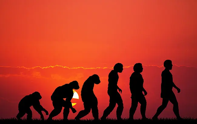 Как наистина работи естественият подбор: учените обясняват защо полезните мутации не винаги се утвърждават
