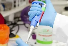 Ново антитяло потиска метастазирането на рака на простатата
