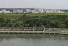 Румъния осигури още девет дни работа за атомната централа „Черна вода“ след пренасочване на водите от река Дунав АЕЦ „Черна Вода“ в град Черна Вода, окръг Констанца, Румъния, 3-ти август 2026 г.