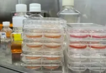 Китайски учени отгледаха тромбоцити извън организма: Революция в кръвопреливането