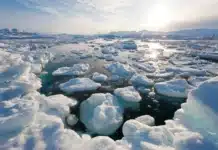 Хората ще усетят първите последици до 2030 г.: учените предупреждават, че истинският край на света е по-близо от всякога