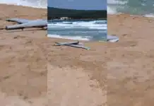 Три дрона изплуваха на нашето крайбрежие