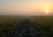 Учените откриха следи от продължаващата еволюция в ДНК-то на съвременните хора