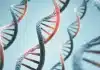 Anthropic управлява биолаборатория, в която се провеждат AI експерименти