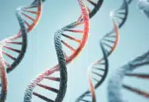 Anthropic управлява биолаборатория, в която се провеждат AI експерименти