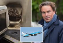 Power bank на бившия шеф на KLM пламна над Атлантика – самолетът се върна след 5,5 часа във въздуха