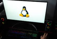 Гейминг на Linux в продължение на пет години: Готова ли е платформата да замени Windows?