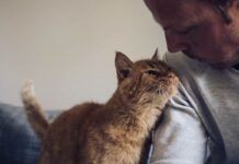 Вашият котарак знае точно кой сте вие и учените току-що го доказаха