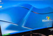 Най накрая стана ясно как най-известният пиратски ключ за Windows XP се разпространи навсякъде