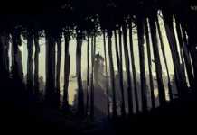 Премиерен трейлър на What Remains of Edith Finch
